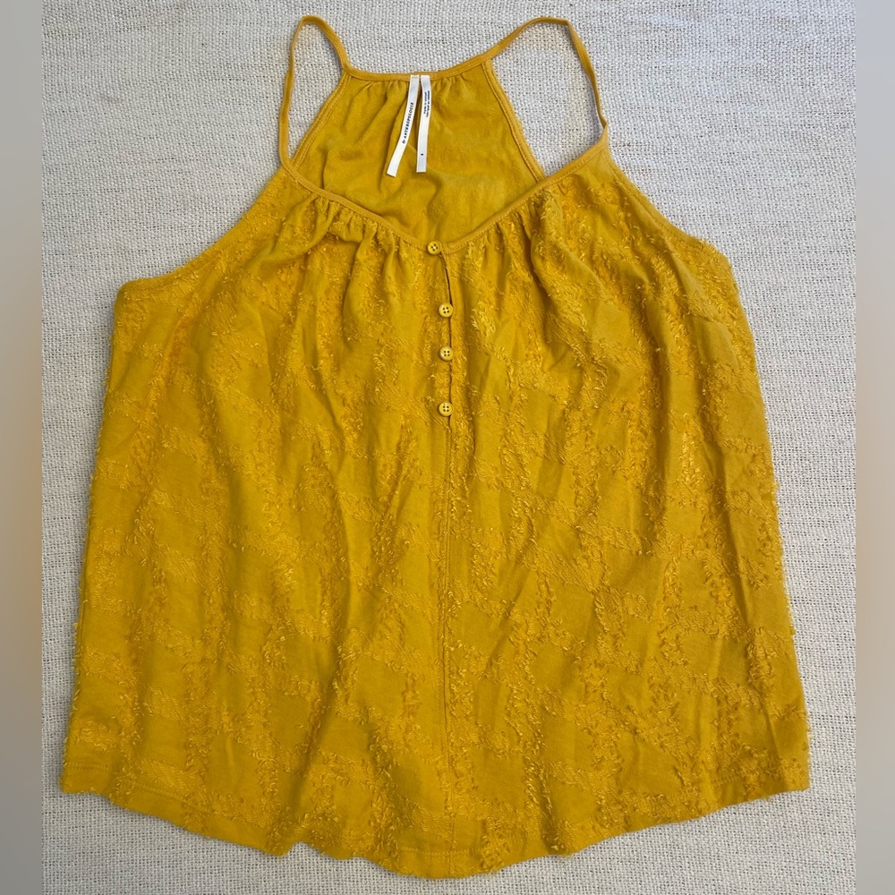 Anthropology Tank